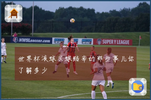世界杯滚球买球赔率的那些事儿你了解多少