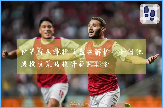 世界杯买球投注盘口解析，如何把握投注策略提升获利机会
