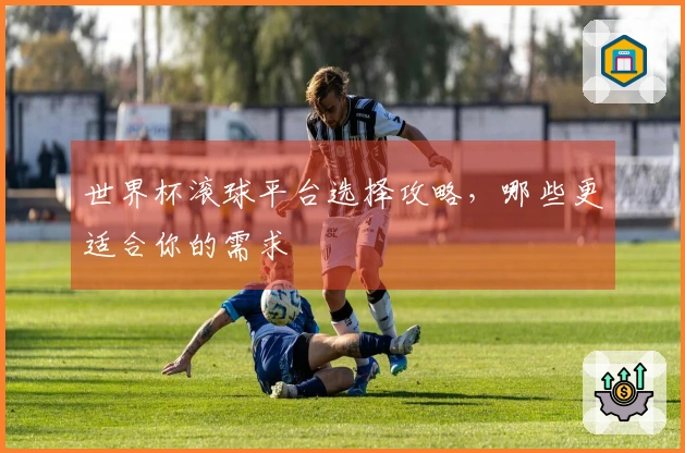 世界杯滚球平台选择攻略，哪些更适合你的需求