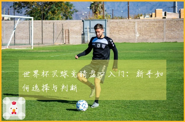 世界杯买球竞猜盘口入门：新手如何选择与判断