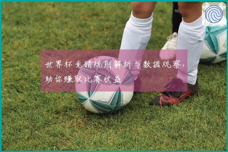 世界杯竞猜规则解析与数据观察，助你赚取比赛收益