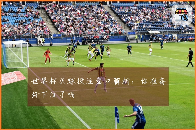世界杯买球投注盘口解析，你准备好下注了吗