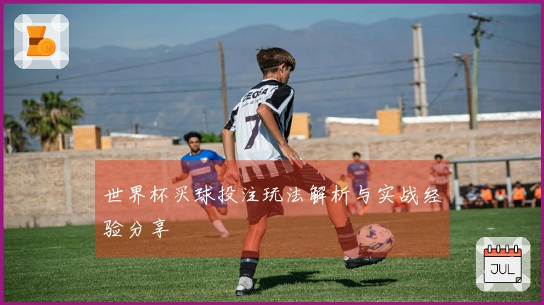 世界杯买球投注玩法解析与实战经验分享