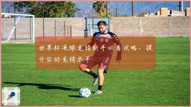 世界杯滚球竞猜新手必看攻略，提升你的竞猜水平