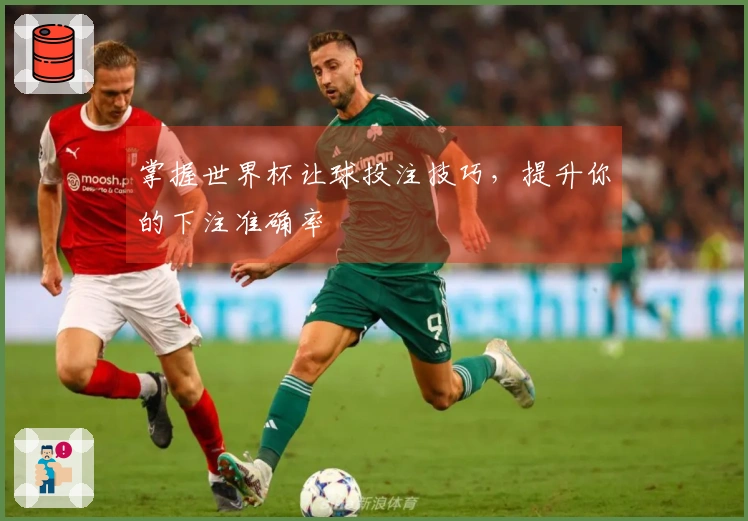 掌握世界杯让球投注技巧，提升你的下注准确率
