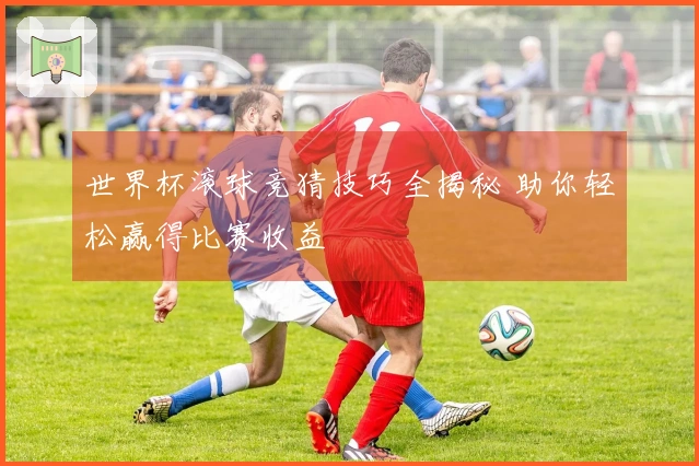 世界杯滚球竞猜技巧全揭秘 助你轻松赢得比赛收益